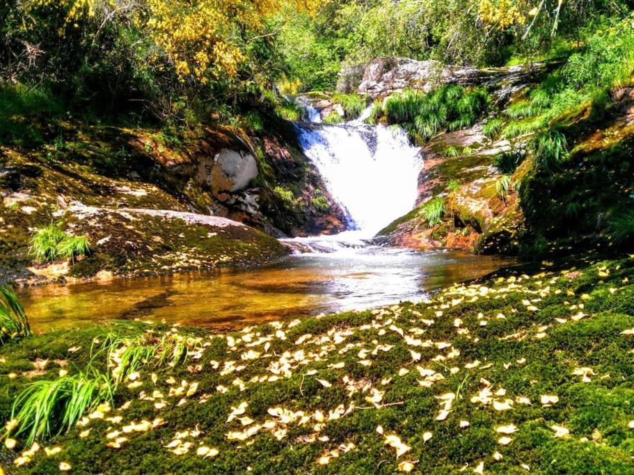 Vale Do Caracol Villa Arcos de Valdevez Eksteriør bilde